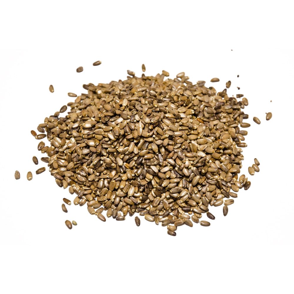 Owoce ostropestu plamistego | Sylivo Mariano BIO. 50g.