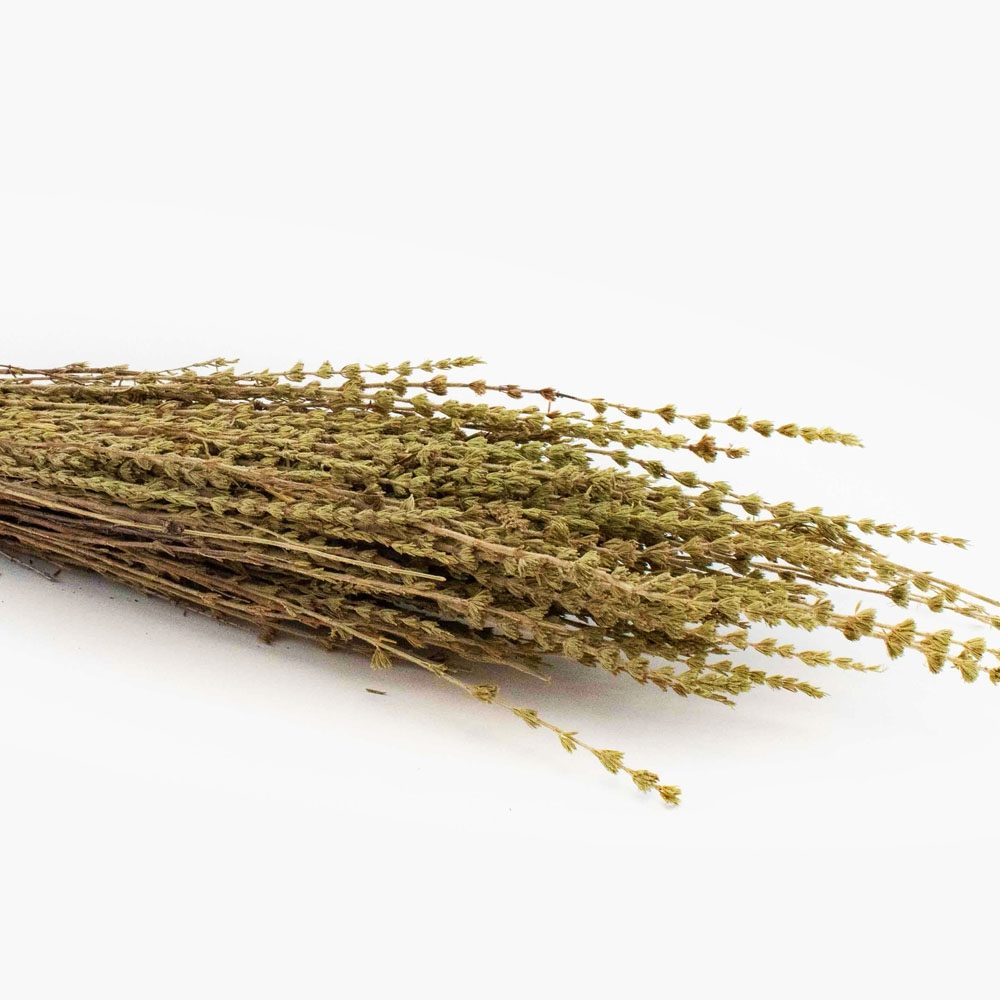 Kyparissaki z Krety (Polykombo). 50g.