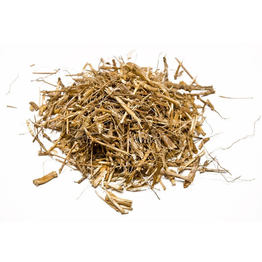 Korzeń dziki (Bio). 30g.