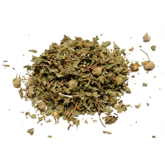 Kistos na Krecie (Aladania – Kounoukla). 30g.